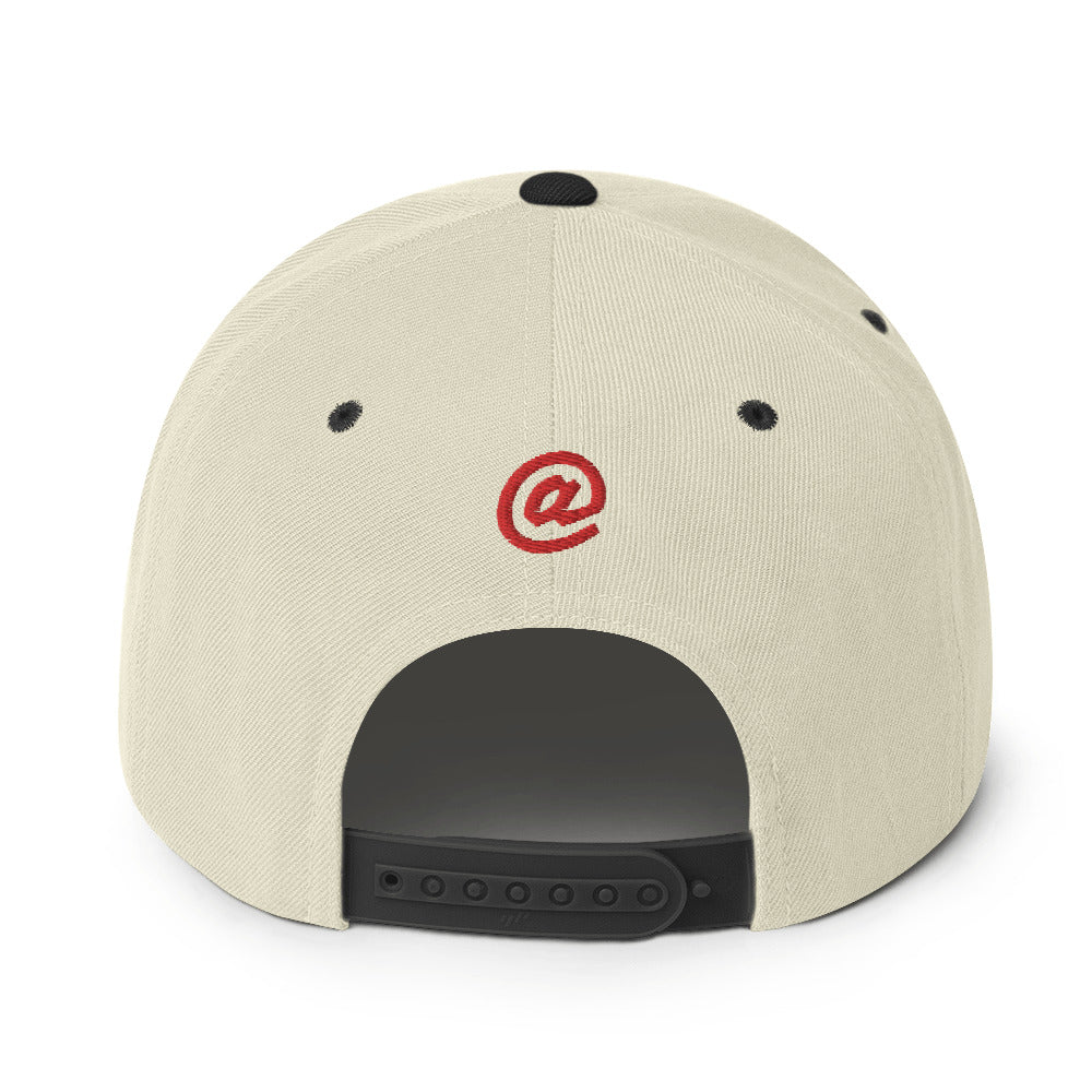 @20 Snapback Hat